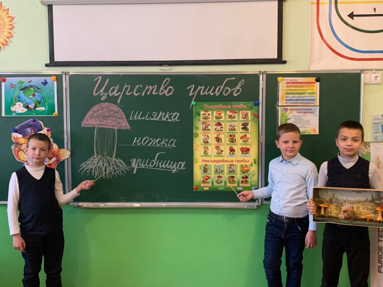 В ЦАРСТВЕ ГРИБОВ.